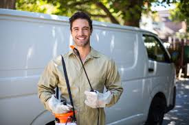 Best Termite Inspection and Treatment  in Clayton, DE